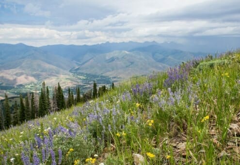 Durango CO to/from Sun Valley (SUN) ID flight deal from $334rt