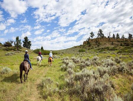 Durango CO to Billings (BIL) MT Flight deal from $200rt