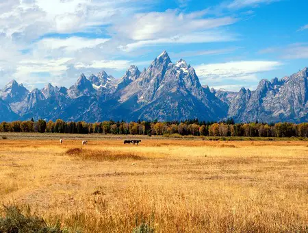 Durango CO to Jackson Hole (JAC) WY flight deal from $258rt