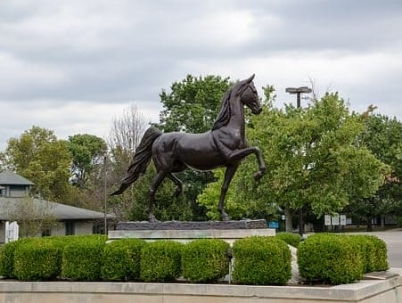Durango CO to Lexington (LEX) KY flight deal from $216rt