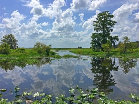 Durango CO to/from Gainesville (GNV) FL flight deal from $314rt