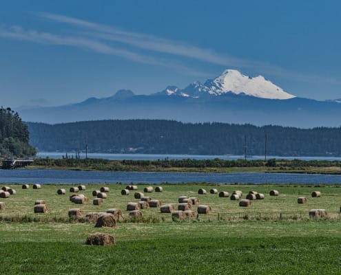 Durango CO to Pasco (PSC) WA flight deal from $200rt