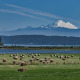Durango CO to Pasco (PSC) WA flight deal from $200rt