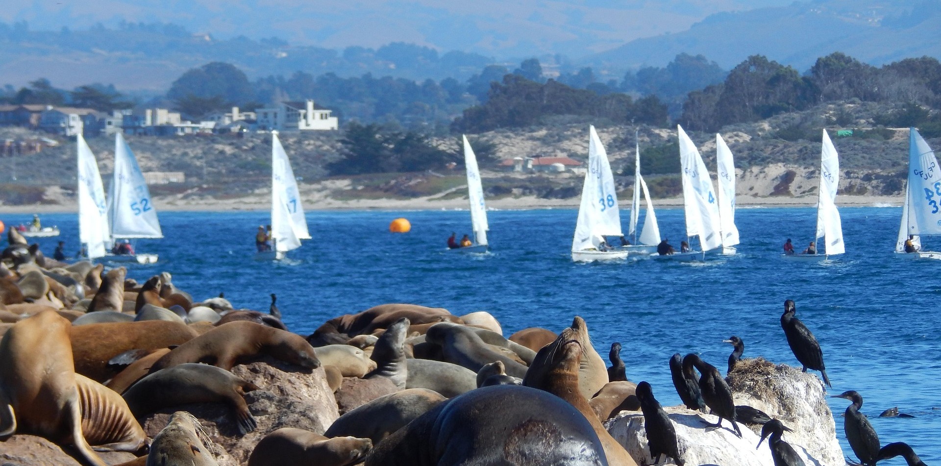 Durango CO to/from Monterey (MRY) CA flight deal from $260rt