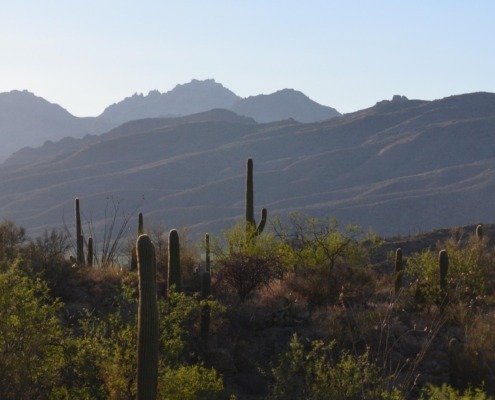 Durango CO to/from Tucson (TUS) AZ flight deal from $260rt