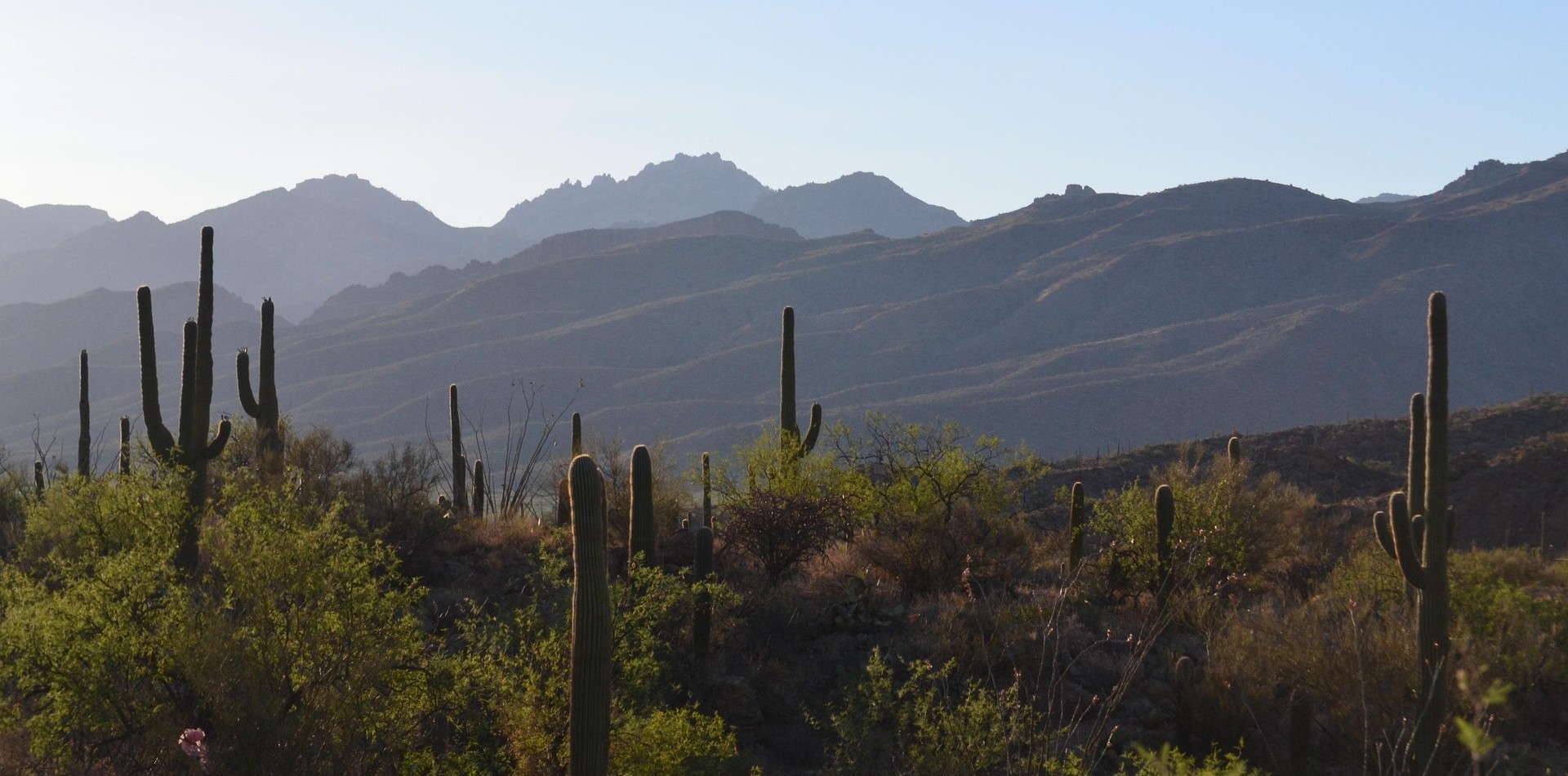 Durango CO to/from Tucson (TUS) AZ flight deal from $260rt
