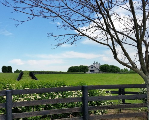 Durango CO to/from Lexington (LEX) KY flight deal from $338