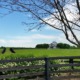Durango CO to/from Lexington (LEX) KY flight deal from $338