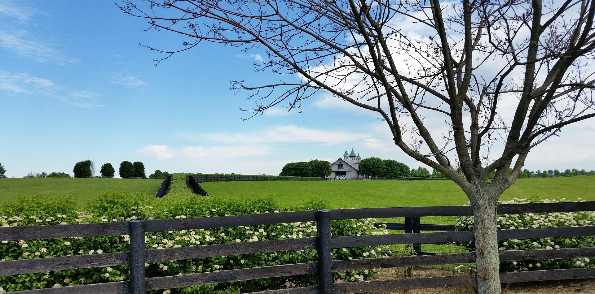 Durango CO to/from Lexington (LEX) KY flight deal from $338
